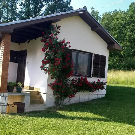 Sumska Carolija Holiday home