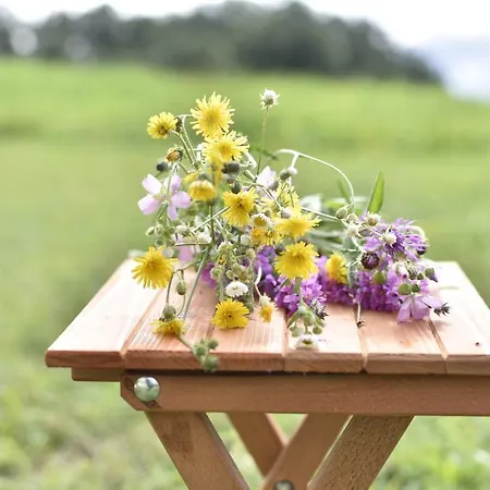 Sumska Carolija Tatil Evi *