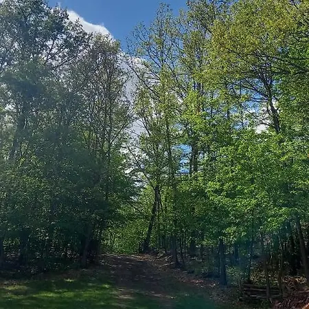 Sumska Carolija Tatil Evi