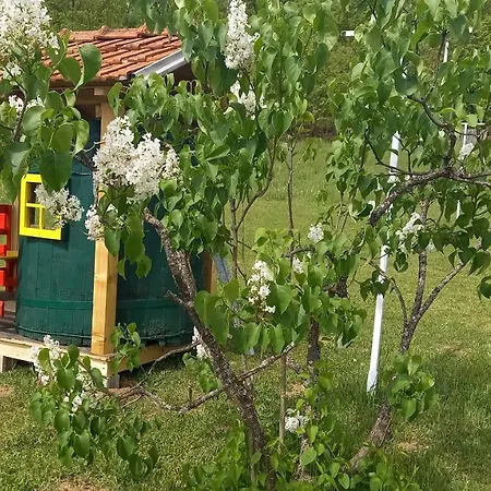 Sumska Carolija Holiday home *