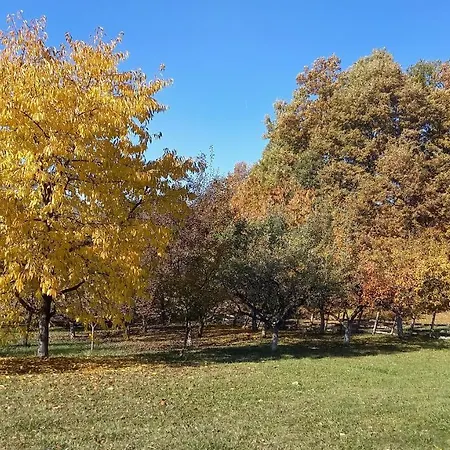 Tatil Evi Sumska Carolija