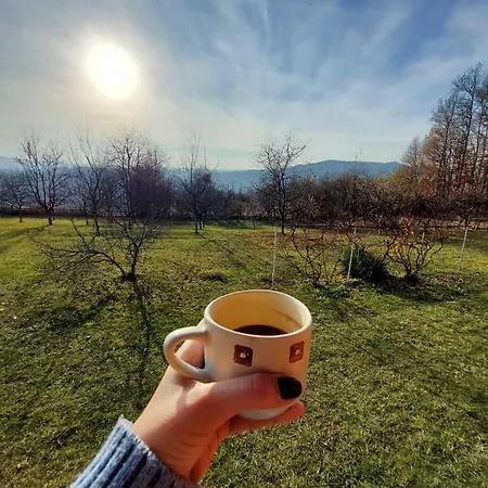 Sumska Carolija Kosjeric