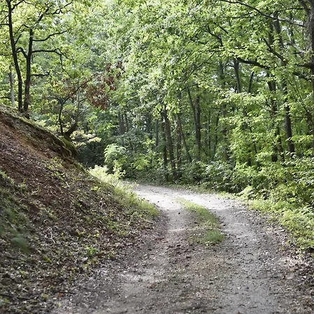 Sumska Carolija Tatil Evi Kosjeric