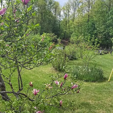 Tatil Evi Sumska Carolija Kosjeric