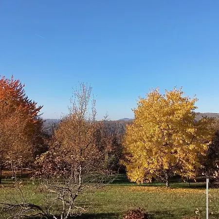 Sumska Carolija * Kosjeric