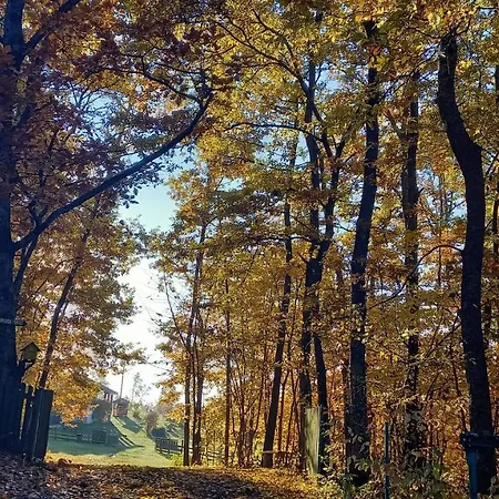 Sumska Carolija Tatil Evi Kosjeric