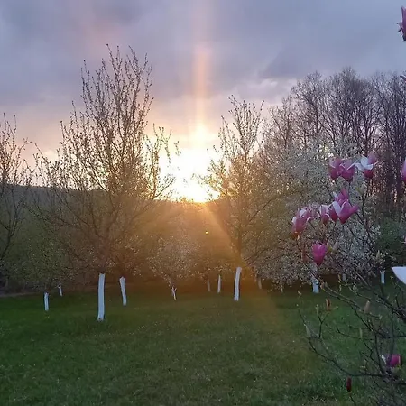 Sumska Carolija Tatil Evi *