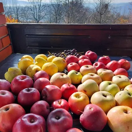 Tatil Evi Sumska Carolija *