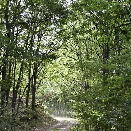 Sumska Carolija Tatil Evi Kosjeric