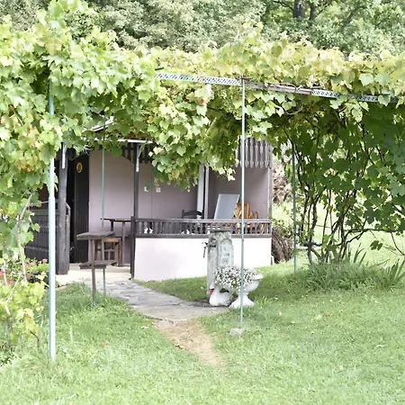 Tatil Evi Sumska Carolija *