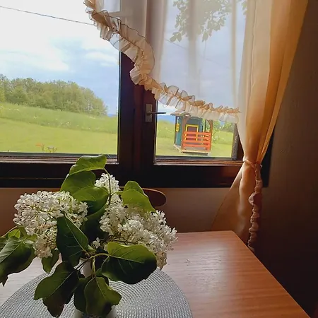 Sumska Carolija Holiday home *