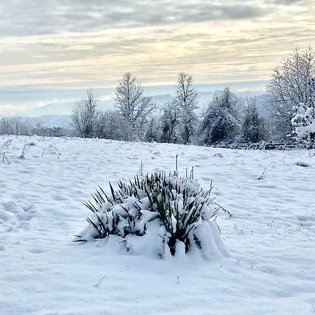 Sumska Carolija Tatil Evi Kosjeric
