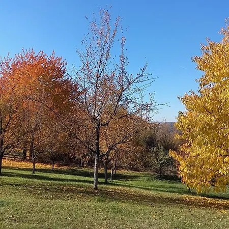 Sumska Carolija Tatil Evi *