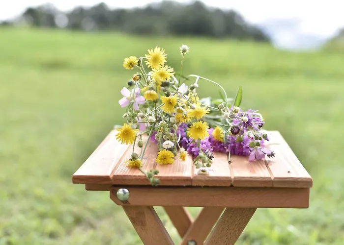 Sumska Carolija Vakantiehuis *