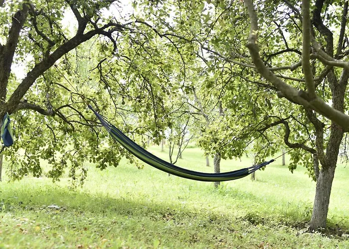 펜션 Sumska Carolija Kosjeric