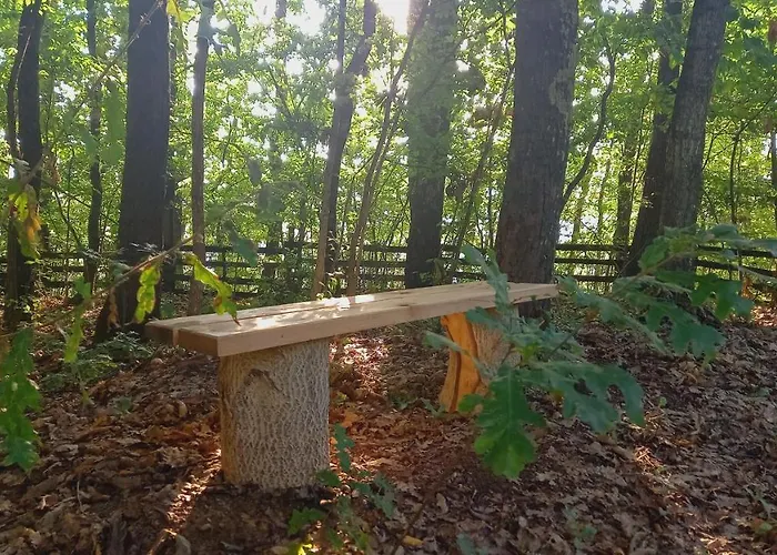 Sumska Carolija 펜션 *