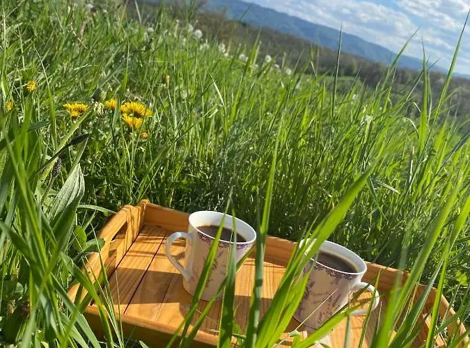 Vakantiehuis Sumska Carolija