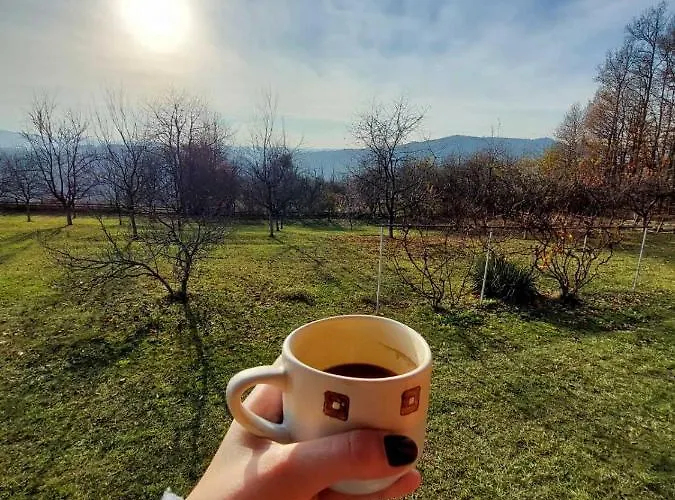 Sumska Carolija Kosjeric