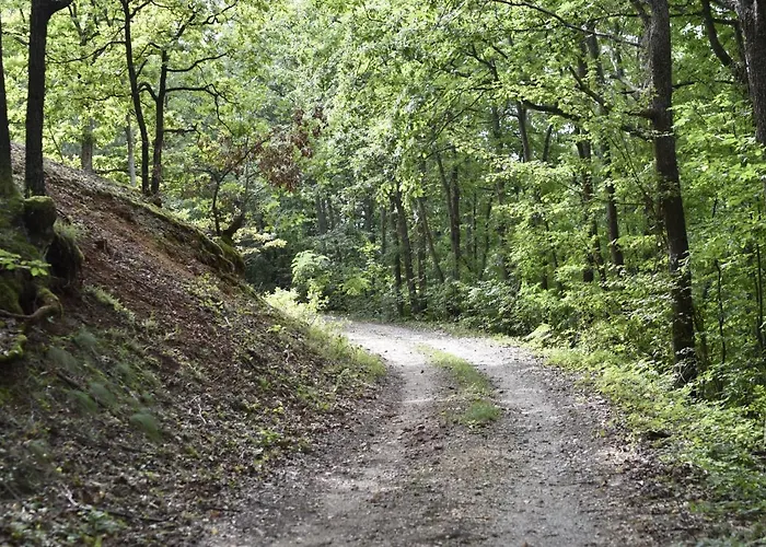 Sumska Carolija 펜션 Kosjeric