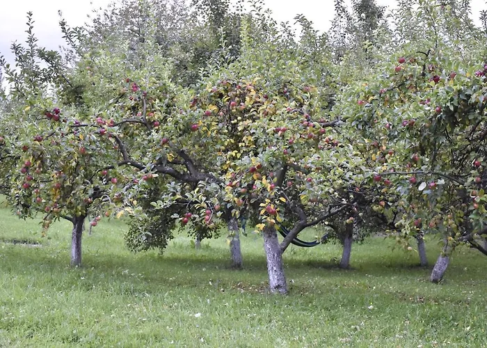 Sumska Carolija Vakantiehuis Kosjeric