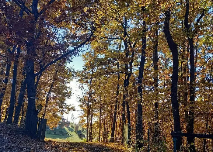 Sumska Carolija 펜션 Kosjeric