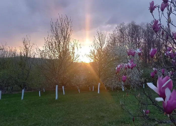 Sumska Carolija 펜션 *