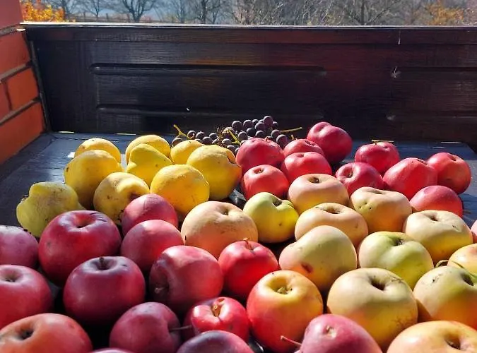 Vakantiehuis Sumska Carolija *