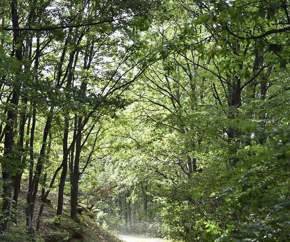 Sumska Carolija Vakantiehuis Kosjeric