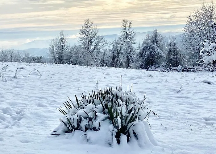 Sumska Carolija Vakantiehuis Kosjeric