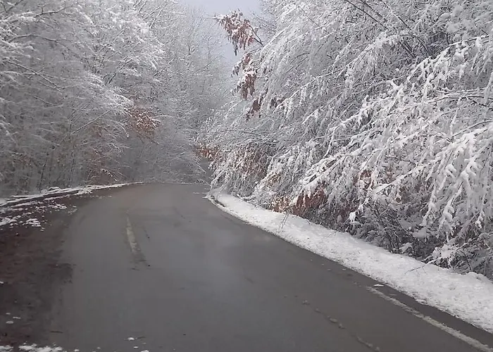 Sumska Carolija Vakantiehuis