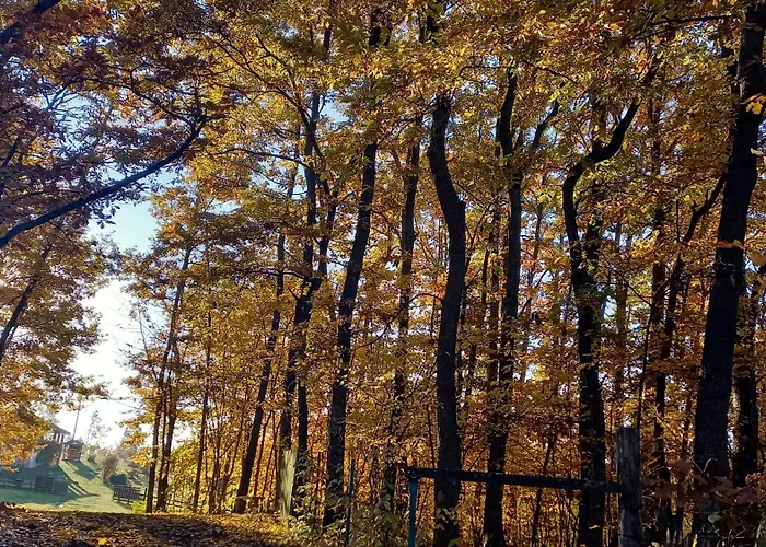 Sumska Carolija 펜션 *