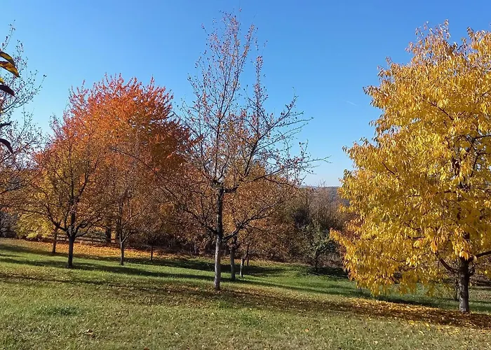 Sumska Carolija Vakantiehuis *